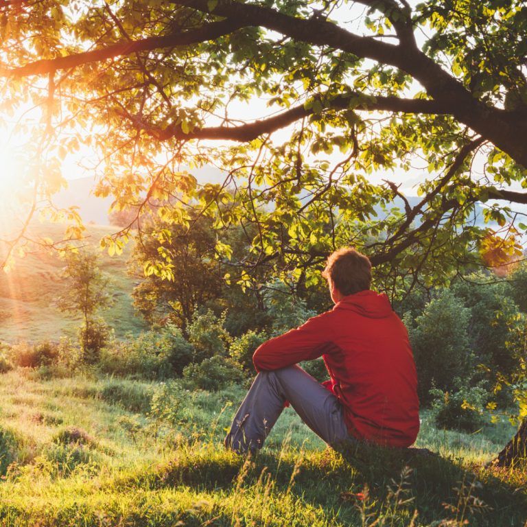 Rooted in What Lasts: Identity Beyond Disability