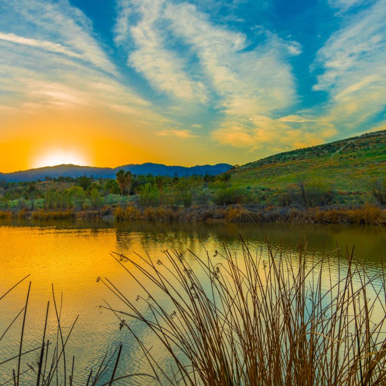 Christ’s Resurrection Is Good News for Creation, Too