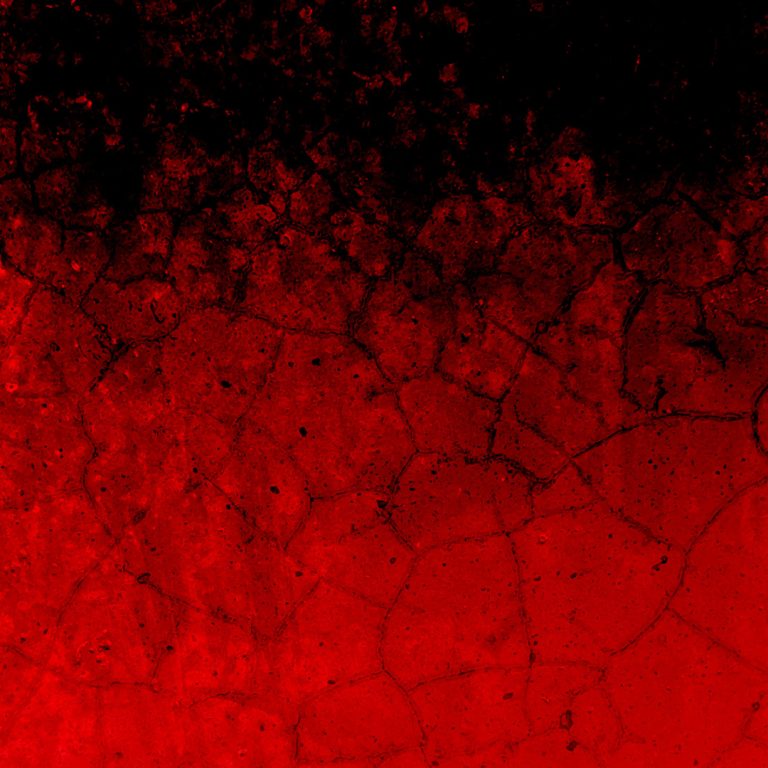 Why We Pay to Be Scared