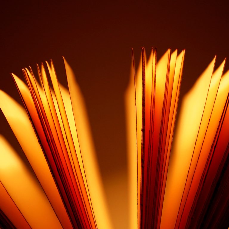 Why (and How) to Avoid Spicy Books