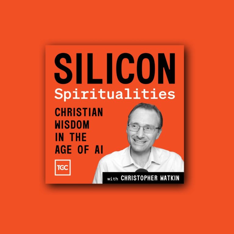 Introducing ‘Silicon Spiritualities’